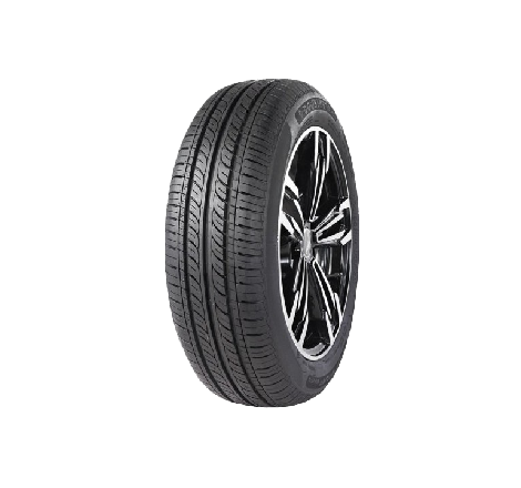 205/55 R 16 91V DOUBLESTAR...