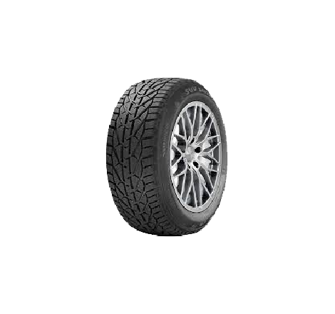 215/55 R 16 97H RIKEN SNOW XL
