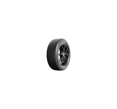 215/55 R 18 99W XL BF...