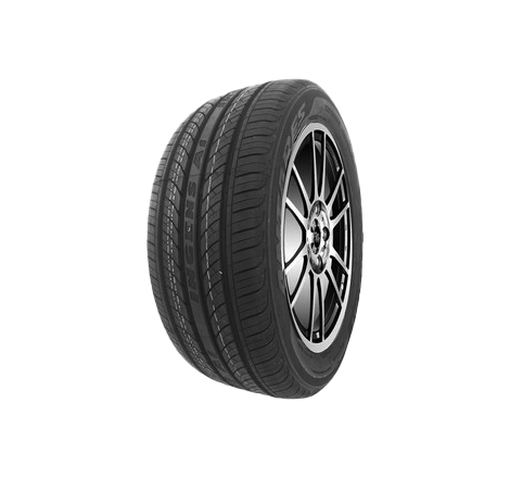 255/50 R 19 107V ANTARES...