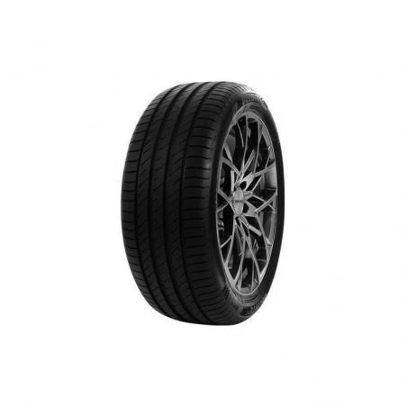 215/50ZR17 TL 95W  DELINTE DS2 XL 