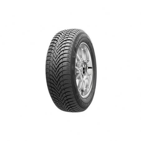 245/45ZR18  MAXXIS TL WP06 XL                 (NEU) 100V *E* 